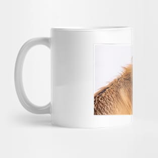 Fox Mug